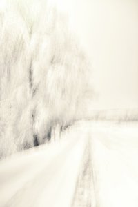 Träumiger Winterpfad von Christina Sillen