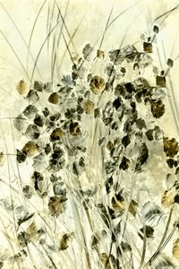 Ätherische botanische Formen von Christina Sillen