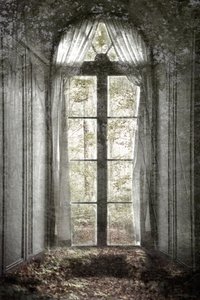 Vergessenes Waldfenster von Christina Sillen