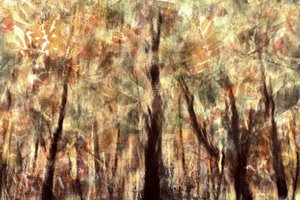 Goldener Herbstwald