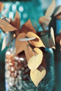 Goldene Herbstblätter von Christina Sillen