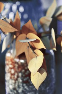 Goldene Herbstblätter von Christina Sillen