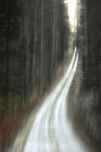 Leuchtender Waldweg von Christina Sillen