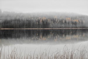 Nebliger Herbstsee