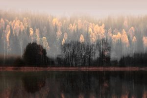 Nebelige Herbstreflexionen von Christina Sillen