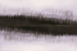 Neblige Birkenreflexion von Christina Sillen