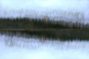 Neblige Birkenreflexion von Christina Sillen