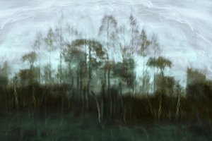Nebliger Waldtraum von Christina Sillen