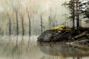 Nebliger Waldsee von Christina Sillen