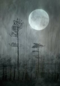 Nebliger Mondwald