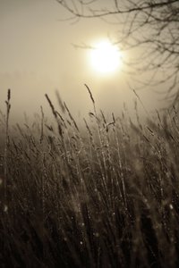 Nebliger Morgensonne