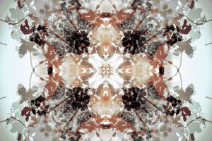 Gedämpftes botanisches Kaleidoskop von Christina Sillen