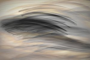 Die Sprachen der Linien von Christina Sillen