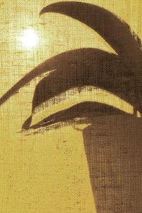 Tropisches Sonnenglühen von Christina Sillen