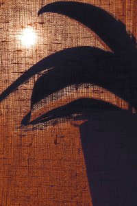 Warme Pflanzensilhouette von Christina Sillen