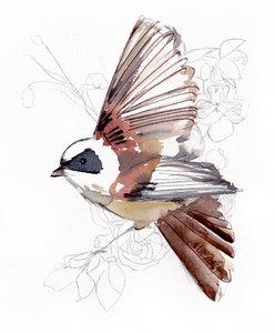 Fliegender Aquarellvogel von Christine Lindstrom
