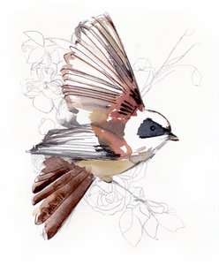 Fliegender Aquarellvogel von Christine Lindstrom