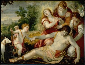 Tod des Adonis von Christoph Schwartz
