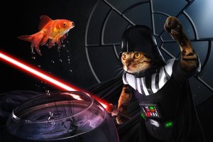 Galaktischer Fischkampf der Katze