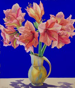 Amaryllis in einem Krug, 2007