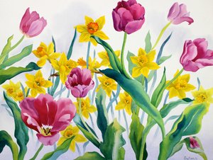 Narzissen und Tulpen von Christopher Ryland