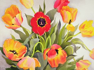 Orange und rote Tulpen von Christopher Ryland