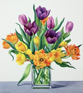 Frühlingsblumen