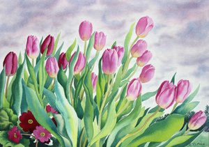 Tulpen am Fenster