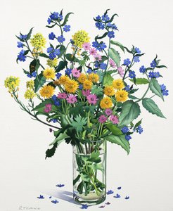 Wildblumen mit Alkanet, 2021