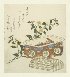 Frosch und Zweig von Kerria Japonica