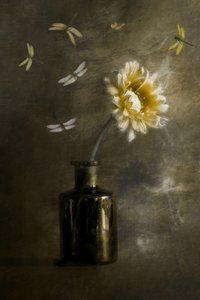 von Cicek Kiral