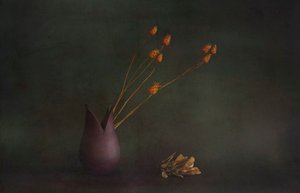  von Cicek Kiral
