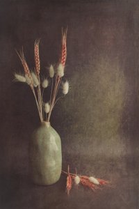  von Cicek Kiral