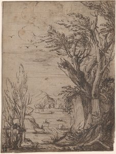 Landschaft mit knorrigen Bäumen und Fischer