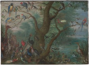 Konzert der Vögel