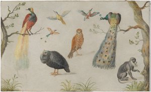 Studie von Vögeln und Affen