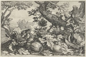 Landschaft mit Kürbissen und Kohl