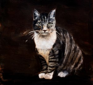 Elegante getigerte Katze von Claire Lerner