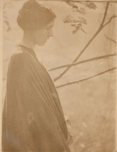 Sonnenlicht von Clarence H. White