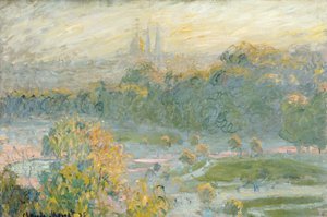 Selbstportrat 1917 Von Claude Monet 37092