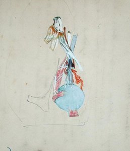 Nervensystem im Kopf einer Katze, 25. Mai 1842 von Claude Bernard