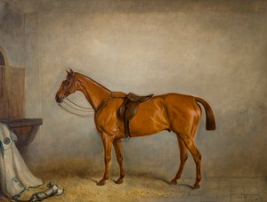 Das Pferd Planet in einem Stall von Claude L. Ferneley
