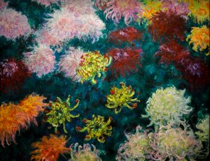 Chrysanthemenbeet