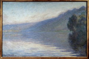 Nebel auf der Seine bei Port Villiez