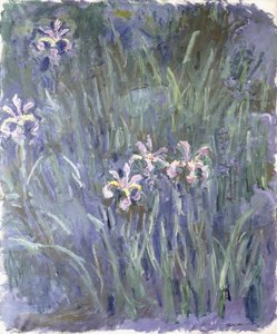 Iris, ca. 1914-1917 von Claude Monet
