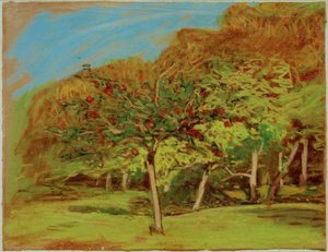 Obstbäume
