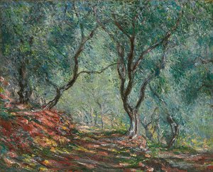 Olivenbäume im Moreno-Garten, 1884 von Claude Monet