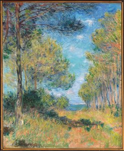 Kiefernweg in Varengeville, 1882 von Claude Monet