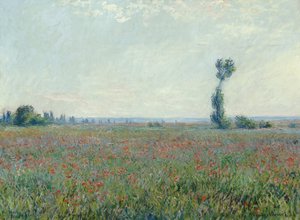 Mohnfeld, 1881