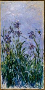 Lila Schwertlilien, 1914-17